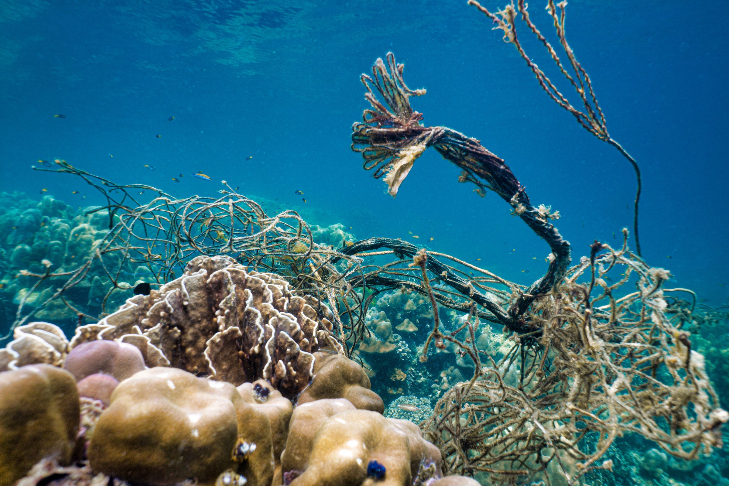 Fishing net pollution on coral reef underwater habitat destruction by Ghost Nets