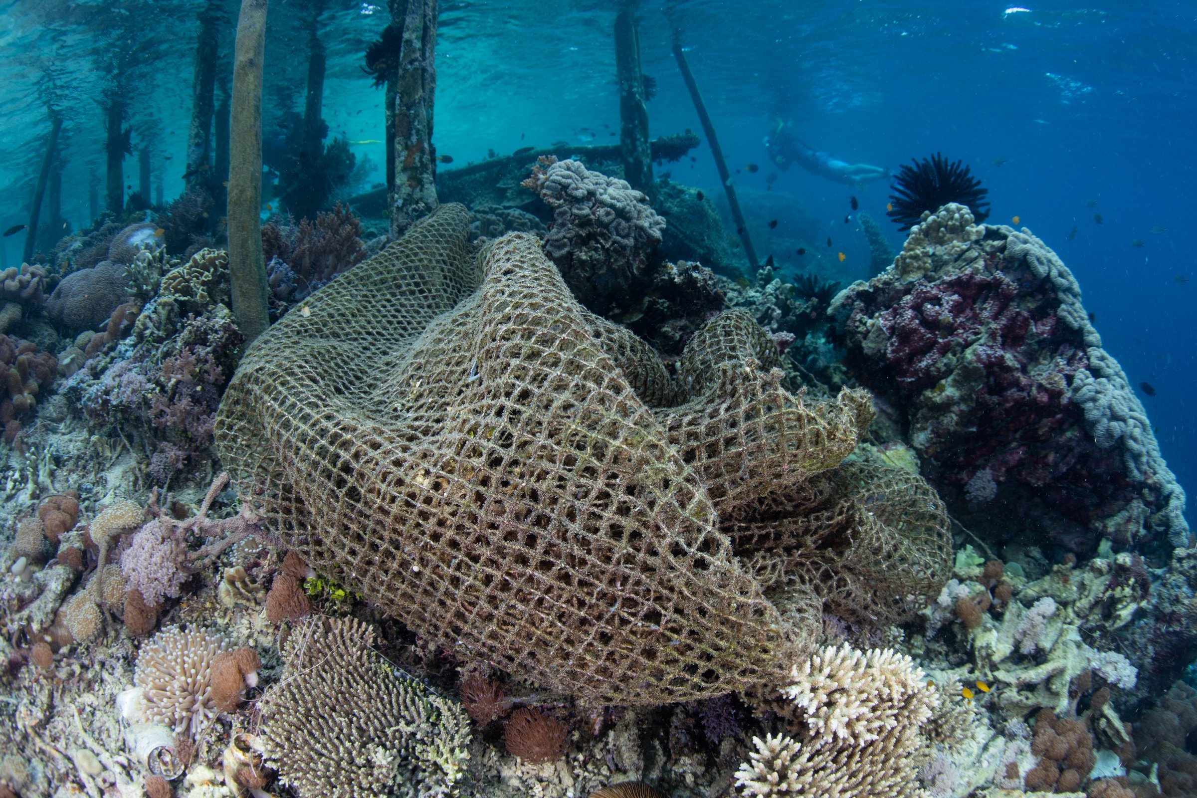 Ghost Fishing Net on Coral Reef